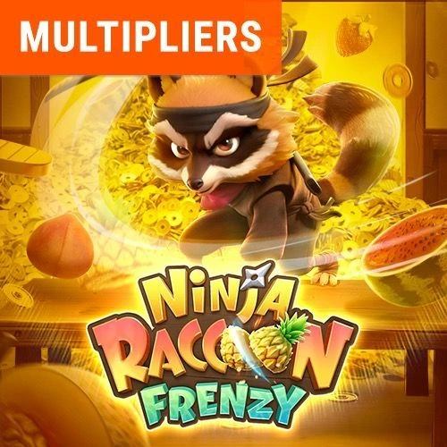 Demo Ninja Raccon Frenzy